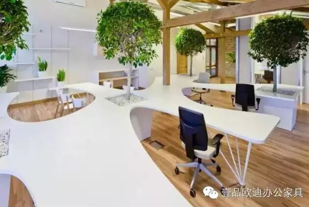 为什么办公室里一定要养植物？-草莓视频网站下载欧迪办公家具